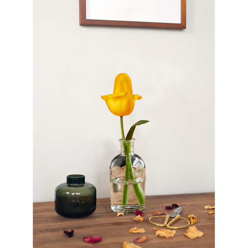 Urnes et bocaux en verre, Transparent