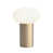 Light Bronze