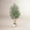 Romney Artificial Olive Tree in Pot - Real Wood Trunks, Weighted Heavy Base, Faux Silk Floor Plant