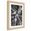 Picture In A Frame, Crowns Of Trees - Single Picture Frame Print-230124710-230124704