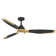 Hinkley Aileron 60" Integrated LED Smart Ceiling Fan