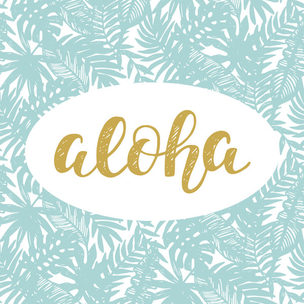 Bay Isle Home Aloha Summer Lettering by Artrise - Wrapped Canvas ...