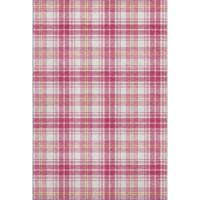 Premium Machine Washable Natoma AMF993 Plaid Rug
