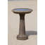 The Essential Birdbath-13918336