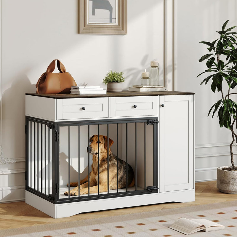 Dog House