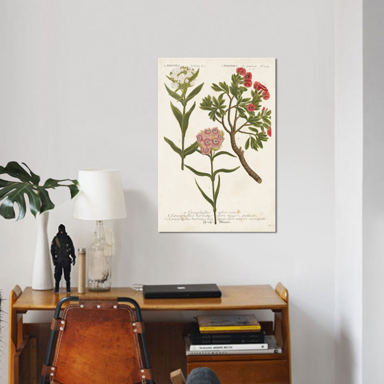 " Botanical Varieties IV " by Johann Wilhelm Weinmann, 40" H x 26" W x 1.5" D, Wrapped Canvas, No Mat