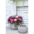 Pot Planter