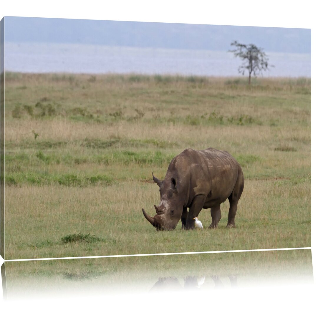 Leinwandbild Großes Nashorn beim Fressen