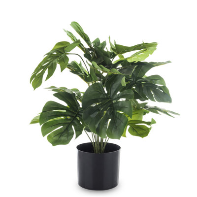 50cm Faux Evergreen Plant in Pot