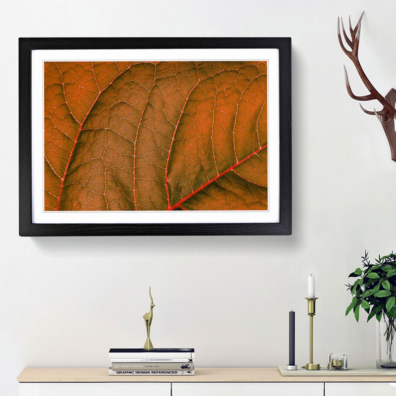 Leaf Veins - Picture Frame Photograph Print, 48cm H x 65cm W x 2cm D, Black Framed