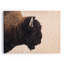 American Bison Print by Getty Images-581159476