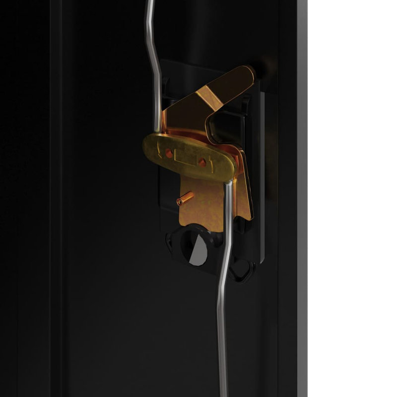 Naideline 2 -Door 2 -Shelf, Black