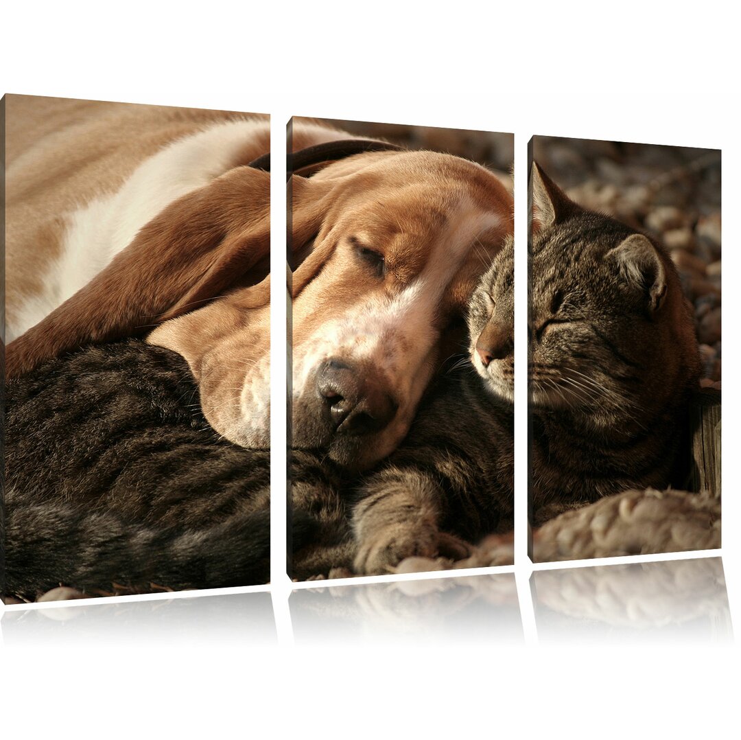 3-tlg. Leinwandbilder-Set Katze und Hund kuschelnd, Fotodruck