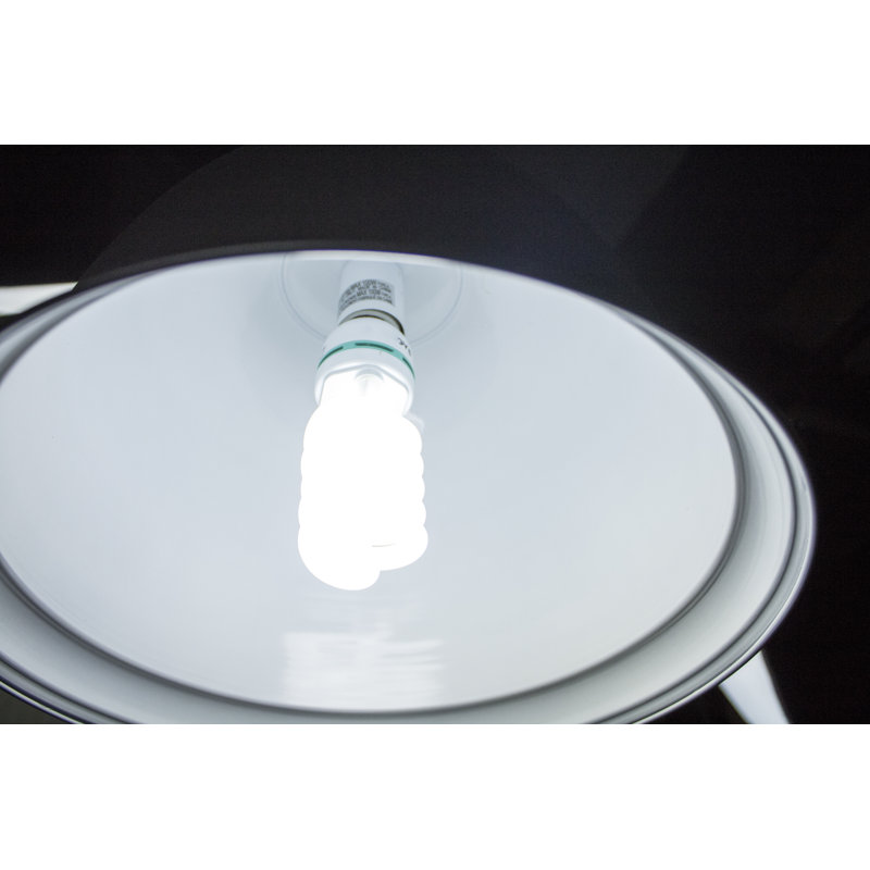 1 - Light Single Pendant