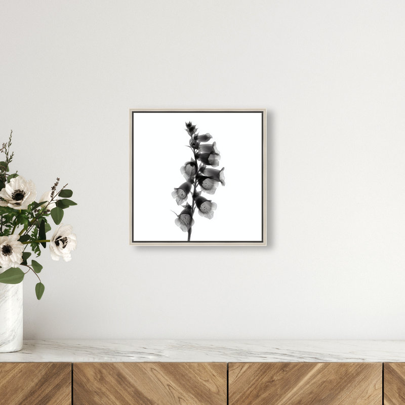 Ossified Petals II Print by Oliver Gal, 13"H x 13"W, Silver Floater Frame