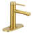 Brushed Gold is out of stock selected