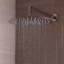 Eleganza 1884 Ceiling Mount Rain Shower Head
