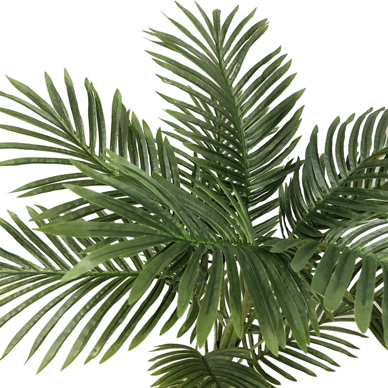 95cm Plant
