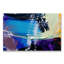The Blend Print-1916840725-1916840733