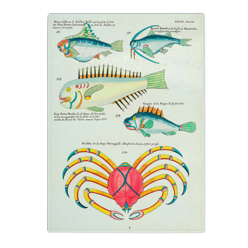 Glass East indies Fish & Crab Illustrations Xxiii by Louis Renard Chopping Board, 39 cm W x 28.5 cm L
