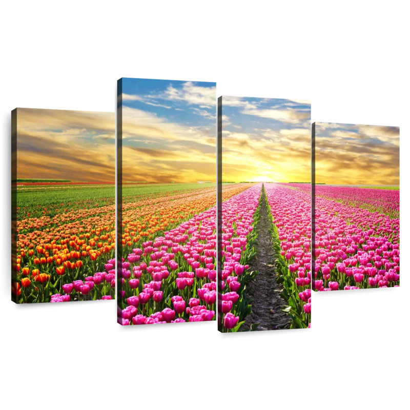 Champ de tulipes, H 22 po x l 36 po