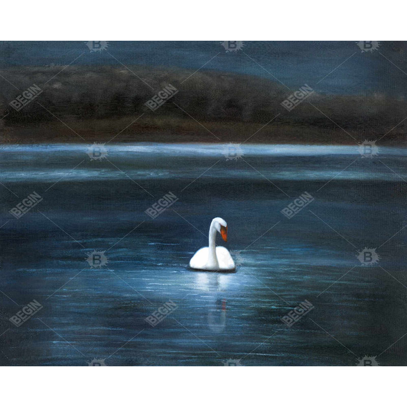Magnifique cygne, reproduction sur toile