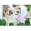 Ensemble de table pour enfants