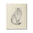 Toile tendue