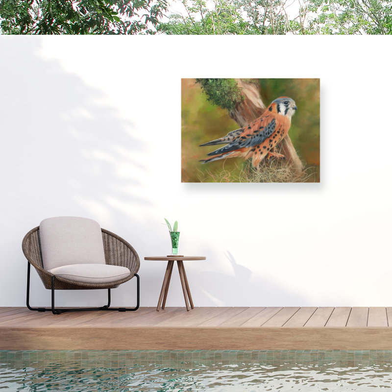 Toile d'extérieur David Stribble American Kestrel, H 24 po x l 32 po