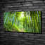 Bamboo Forest - Wrapped Canvas Print
