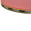 Raquette de tennis de table STIGA Blaze