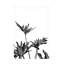 Œuvre d'art sur toile noire Amini54 Monstera noir et blanc 08-105646628
