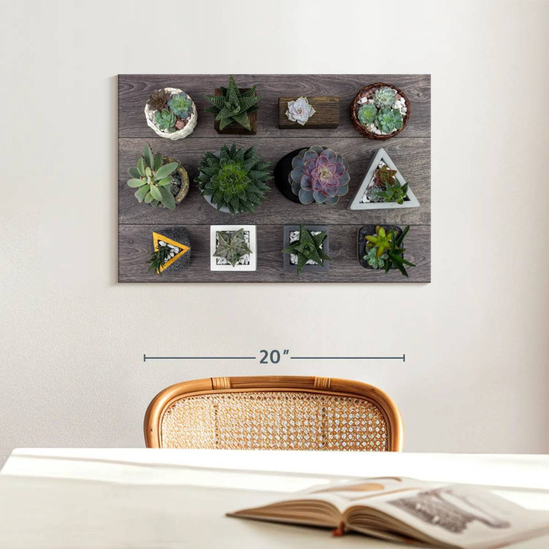 Harnek Assorted Succulents, 16" H x 24" W