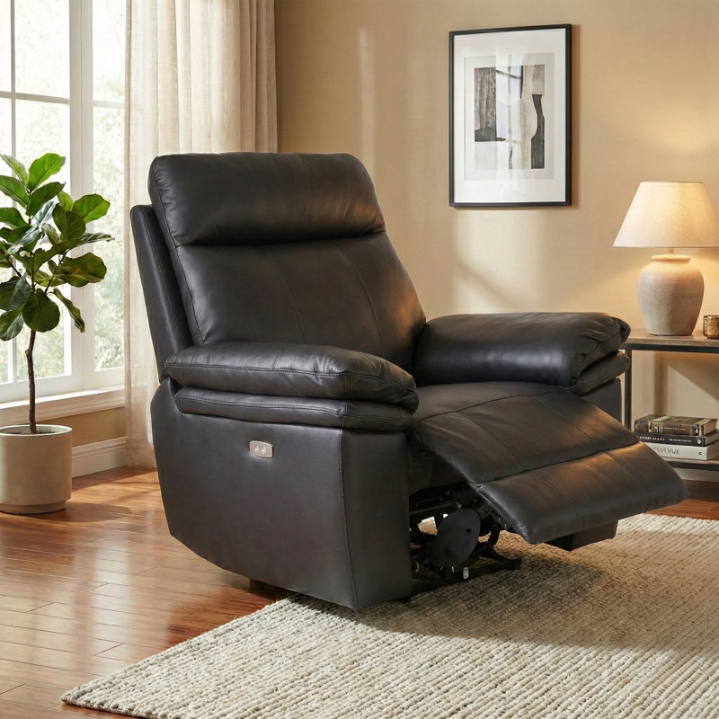 Cooney 99cm Wide Standard Recliner, Back