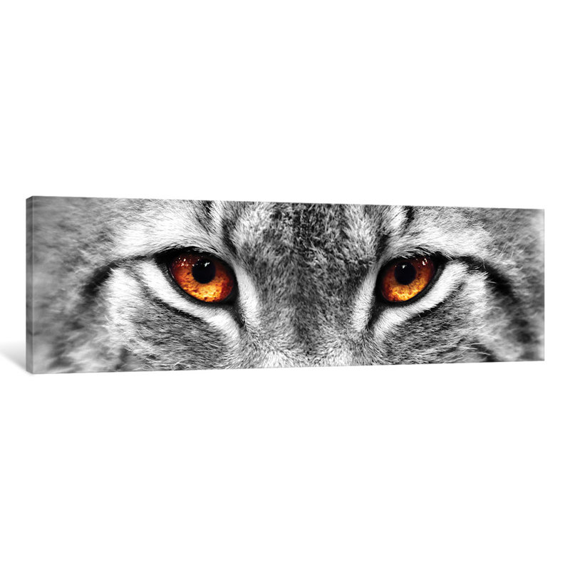 « lynx des yeux », reproduction de photo sur toile, H 12 po x l 36 po x P 1,5 po, Toile tendue