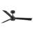 Hinkley Speck Ceiling Fan-108493346-108493349