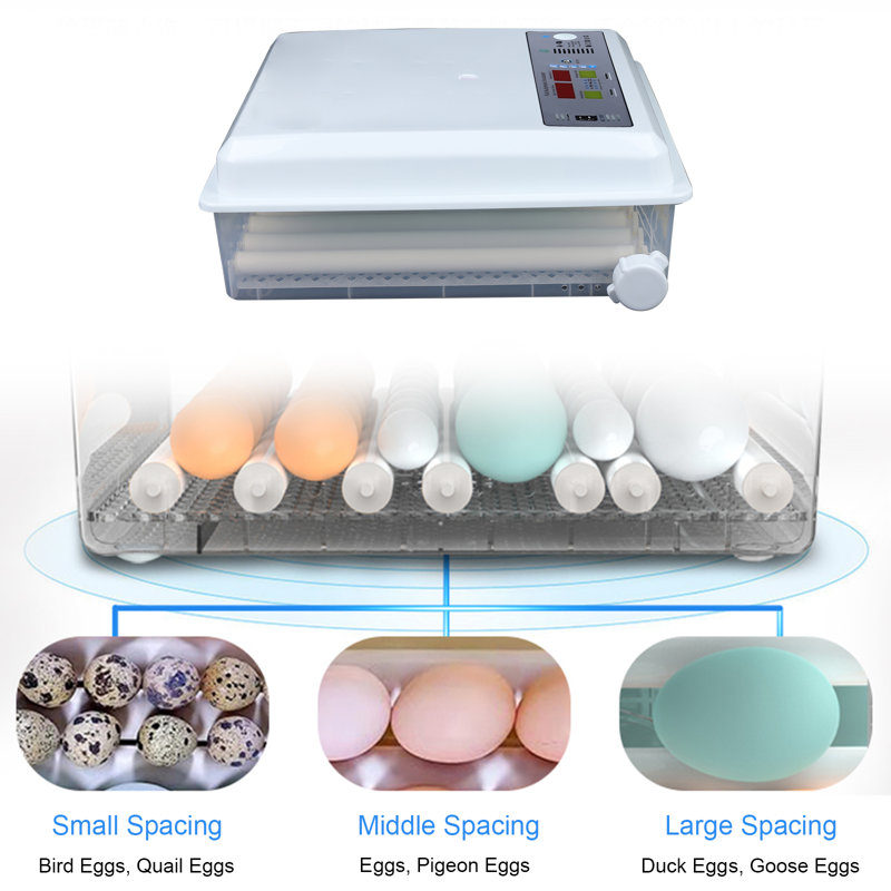 Addai Chicken Egg Incubator For Up To 60+ Eggs
