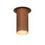 2 - Light Flush Mount