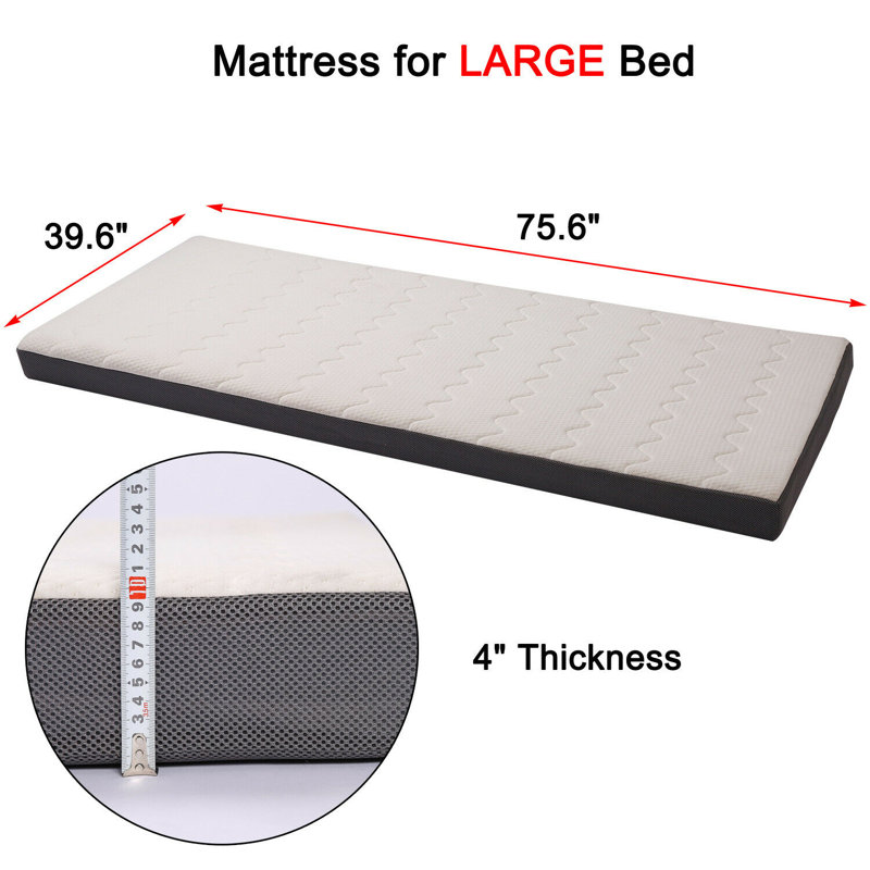Alwyn Home Provincetown 4'' Medium Memory Foam Mattress, Twin