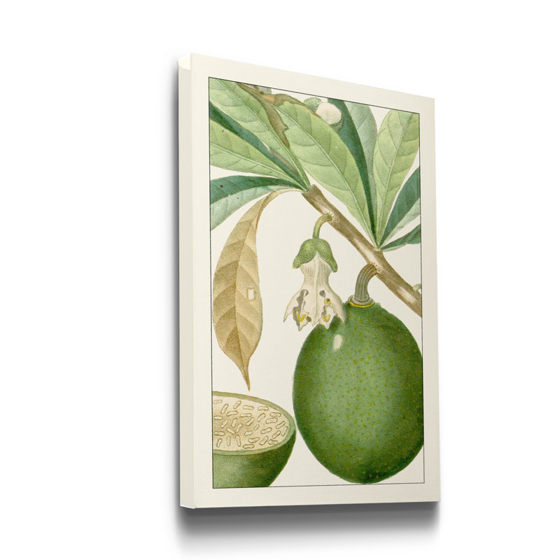 « Turpin Exotic Botanical VIII », reproduction d’art sur toile tendue, H 48 po x l 32 po x P 1 po