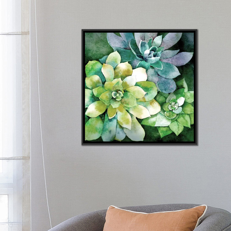«Summer Succulents» par Conrad Knutsen, impression sur toile tendue sur châssis, H 18 po x l 18 po x P 1,5 po, Pas de tapis
