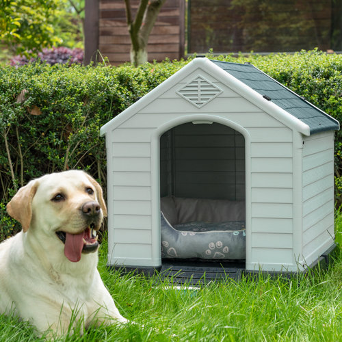 Wayfair | Plastic Dog Houses You'll Love in 2024