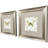 Organic Nature Framed Art