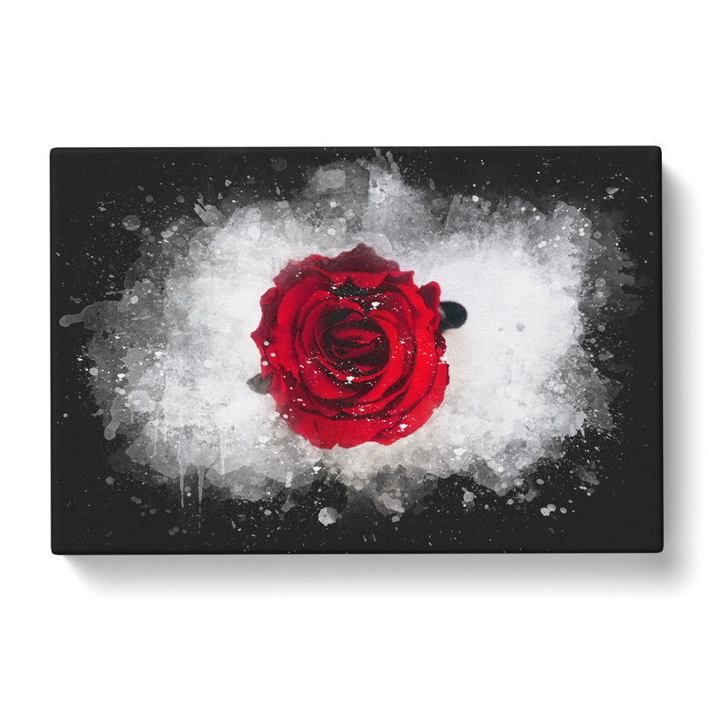 Red Rose In Bloom - Wrapped Canvas Painting, 35cm H x 50cm W x 3cm D