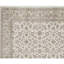 Oriental Area Rug in Ivory