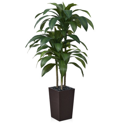 Adcock UV Resistant Artificial Green Dracaena Tree, Faux Tree with Large Base for Indoor Outdoor