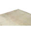 Hand-Knotted High-Quality Brown and Brown Area Rug