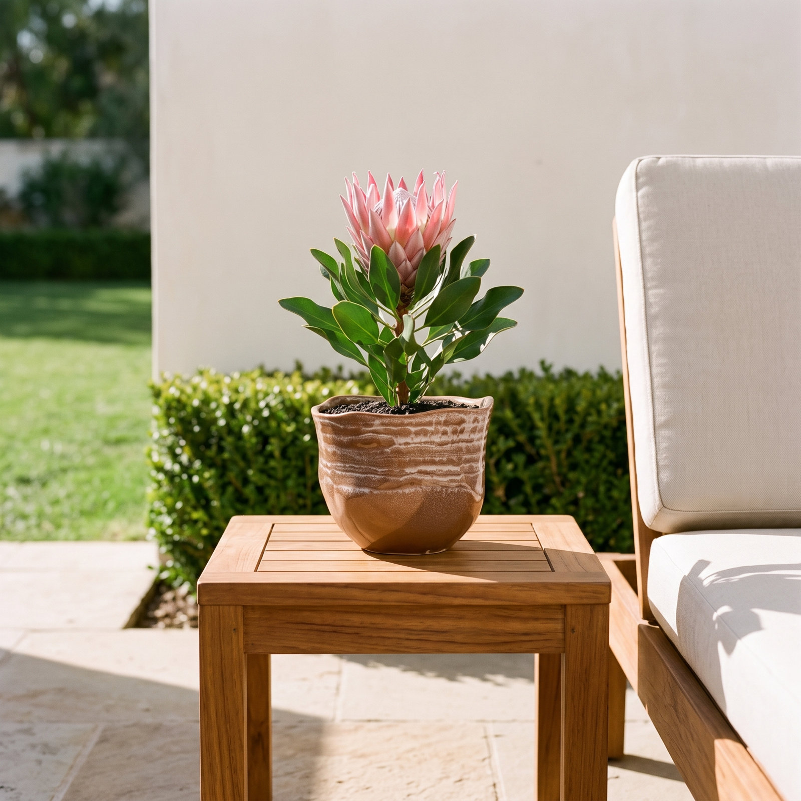 Kamberi Ceramic Pot Planter
