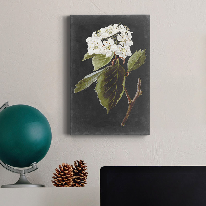 Fleurs blanches dramatiques I - impression, H 27 po x l 18 po x P 1 po