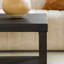 Table basse avec tablette de rangement ouverte Larenda-1045884484